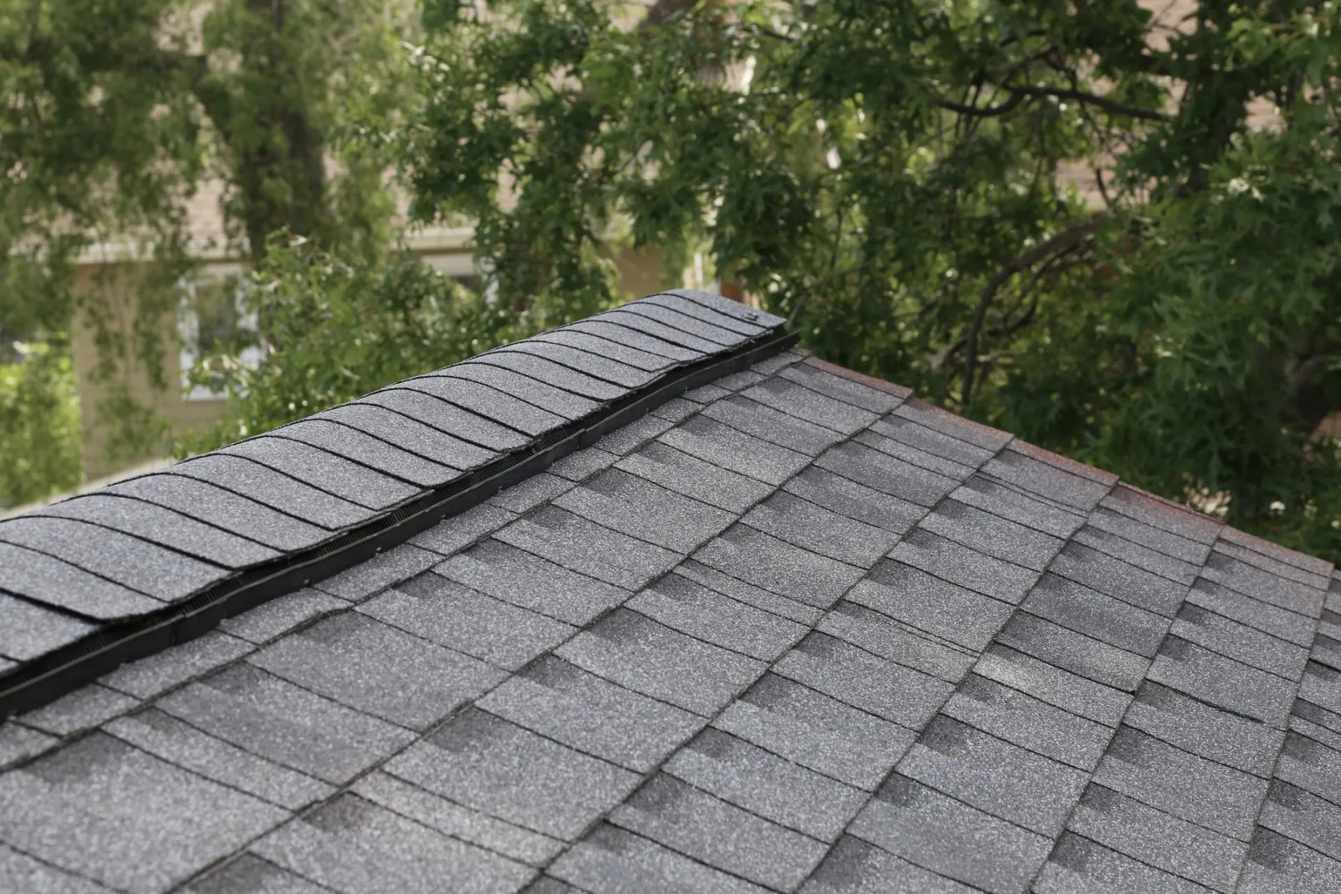 roof repair bronx